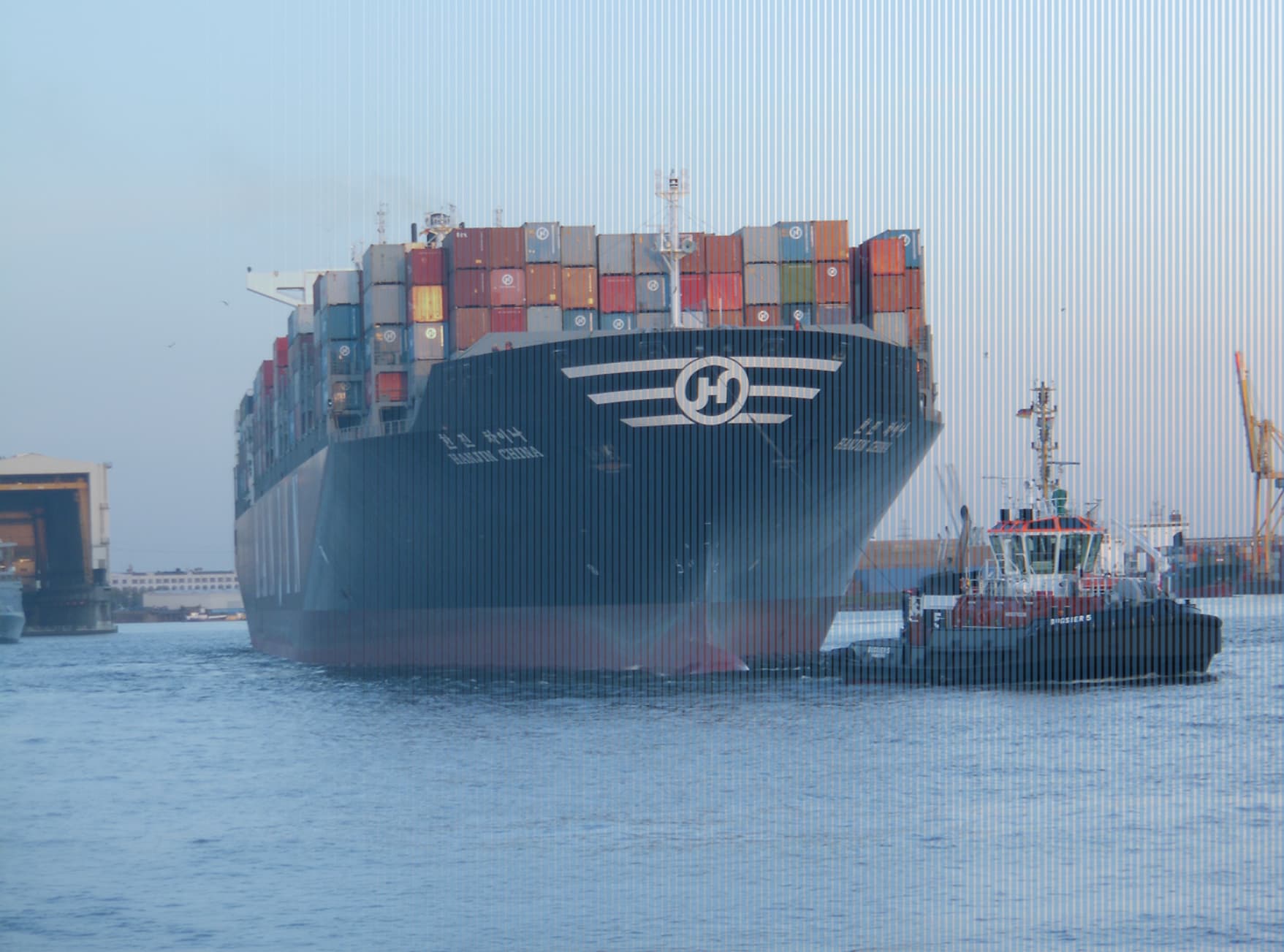 The Cost of Decoupling with China