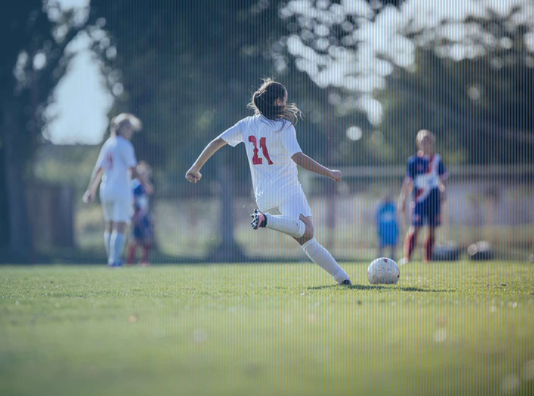 Sport is Freedom for All