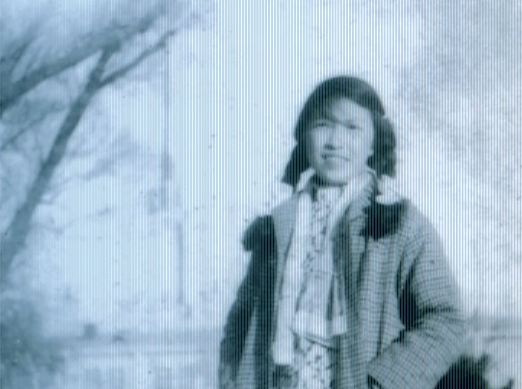 Memory as Resistance: Reading Lin Zhao at Hoover