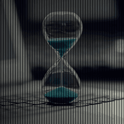 Topic image for Freedom Then and Now