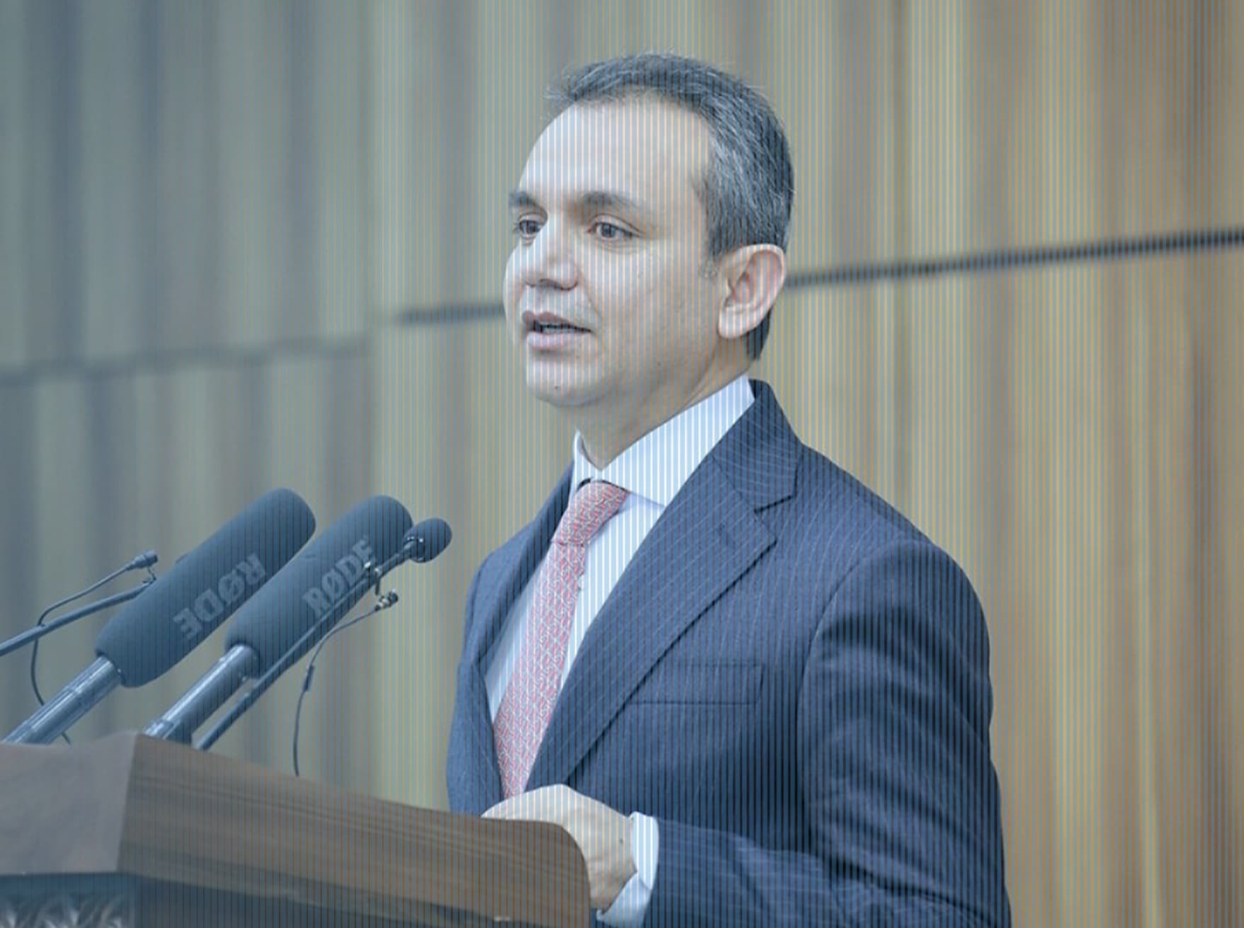 Portrait photo of Nader Nadery