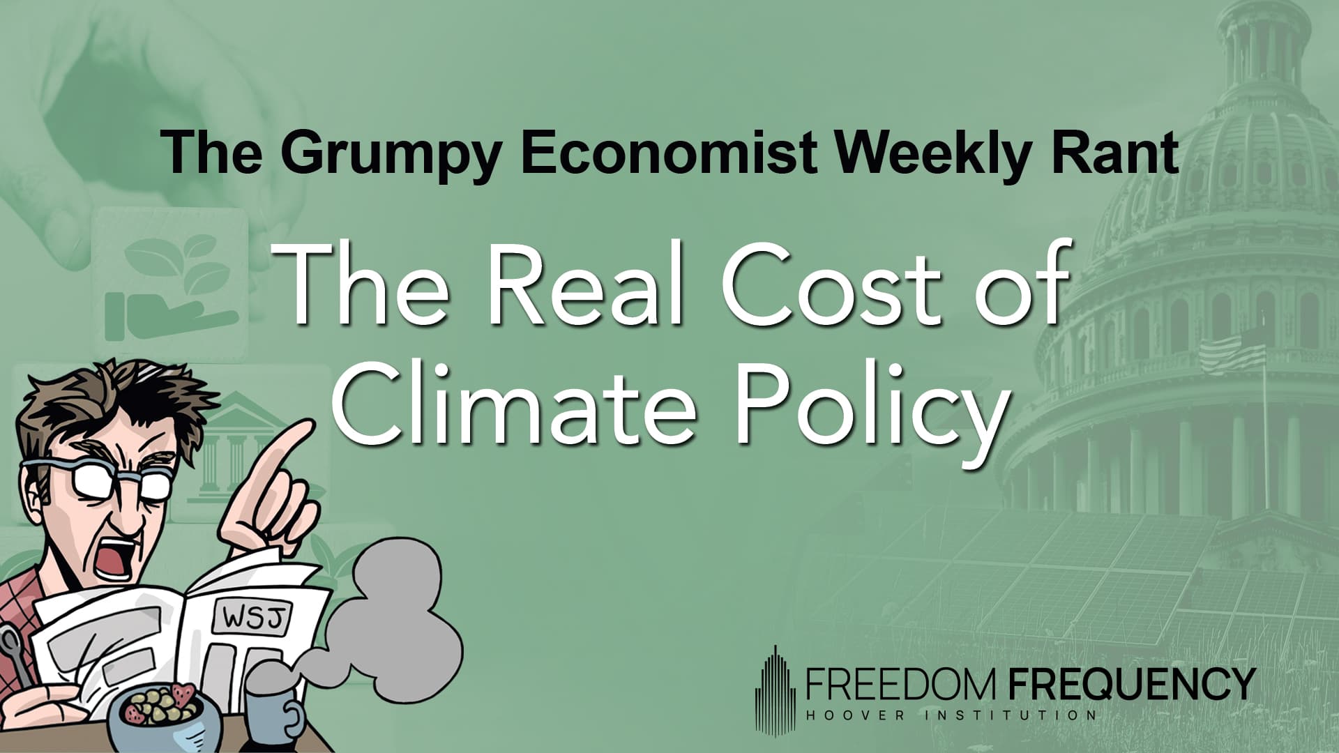 Cover image for article: The Real Cost of Climate Policy